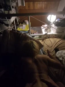 后入极品蜜桃臀2