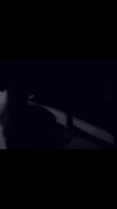 大奶纹身爱吃鸡的lzx