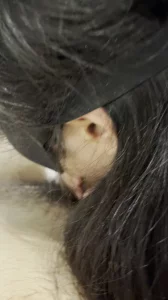 武汉少妇吃跳跳糖